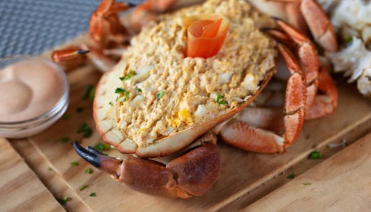 Shellfish - Food in a Shell