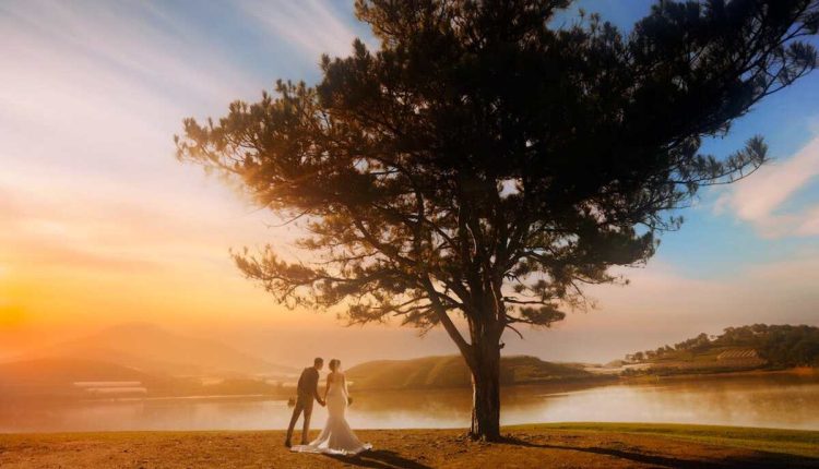 Evolution begins with a big tree