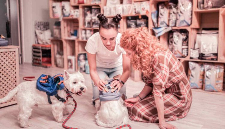 Astral Pet Store Chapter