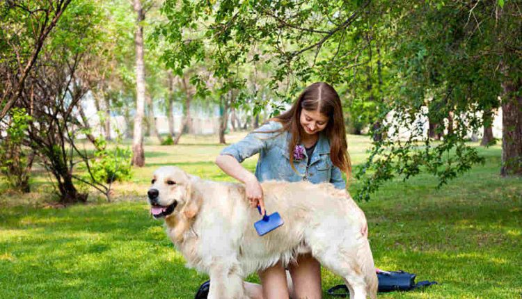 Natural Remedies For Ardex Pet Control