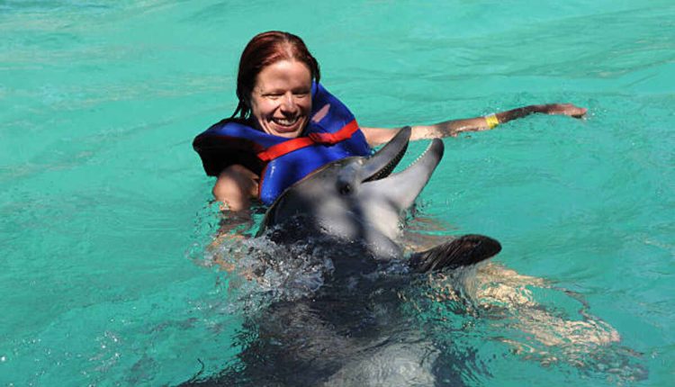 Whale Jokes That Will Make You Laugh Until Your Cheek Hurts