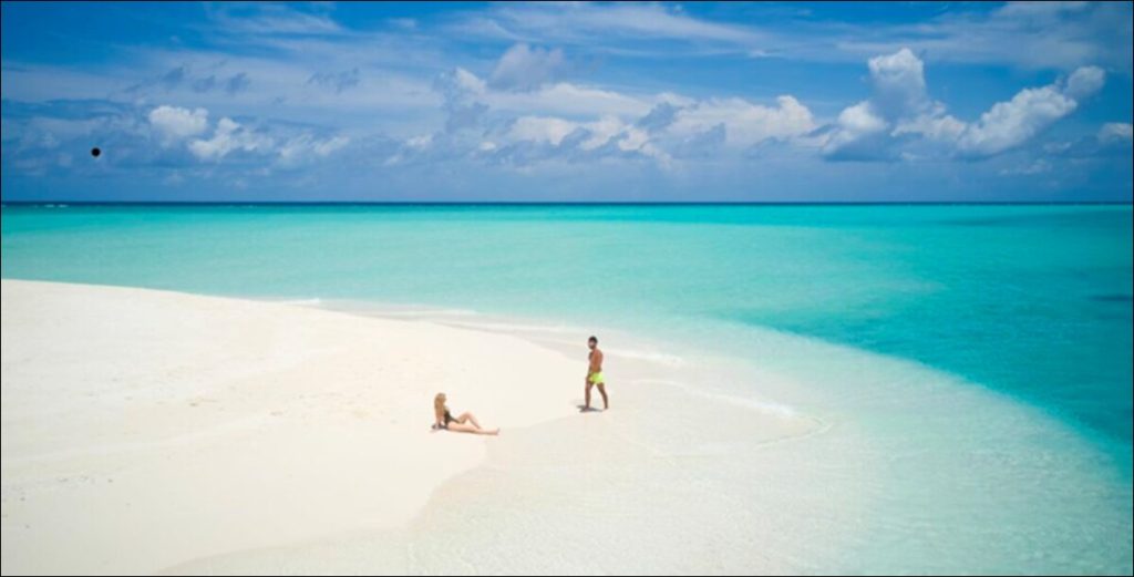 A Snapshot of Paradise