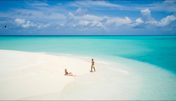 A Snapshot of Paradise