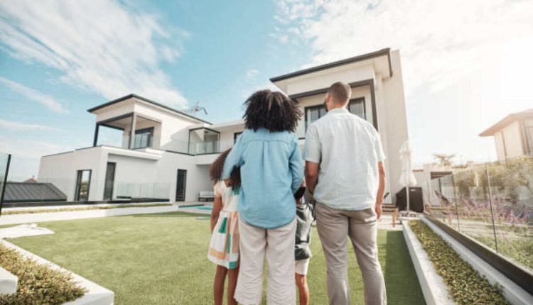 Effective Mouse Trap Solutions for Homeowners