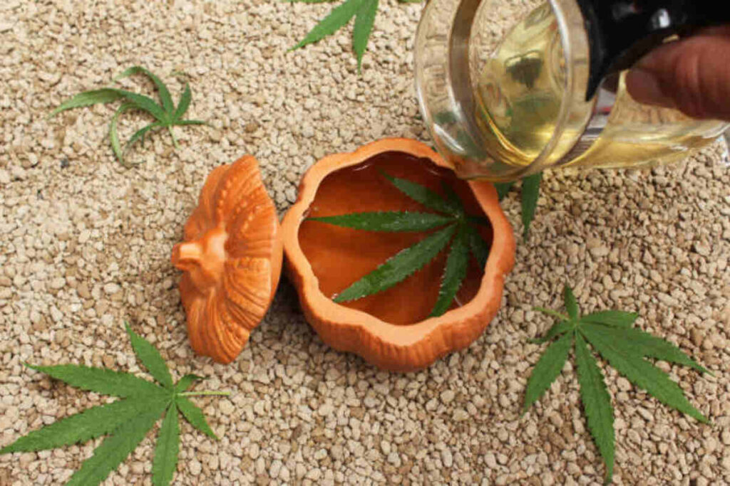 Understanding Kratom Dosing for Beginners