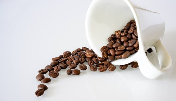 coffeefromindonesia.com