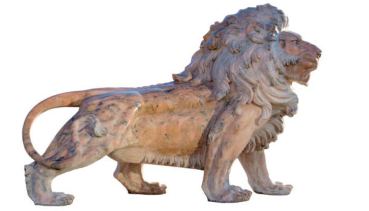 The Art Behind Lion Taxidermy Displays