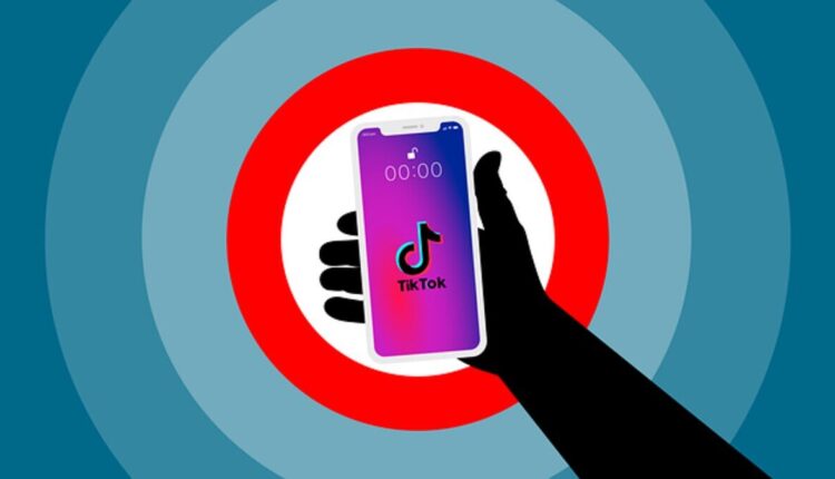 tiktok likes