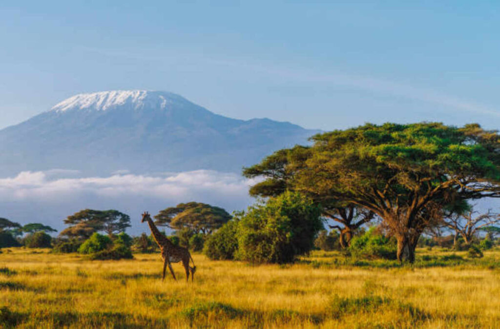 best Tanzania safari packages