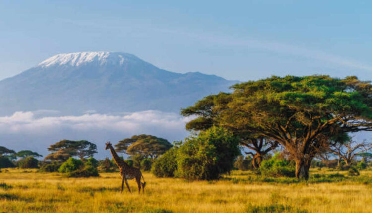 best Tanzania safari packages